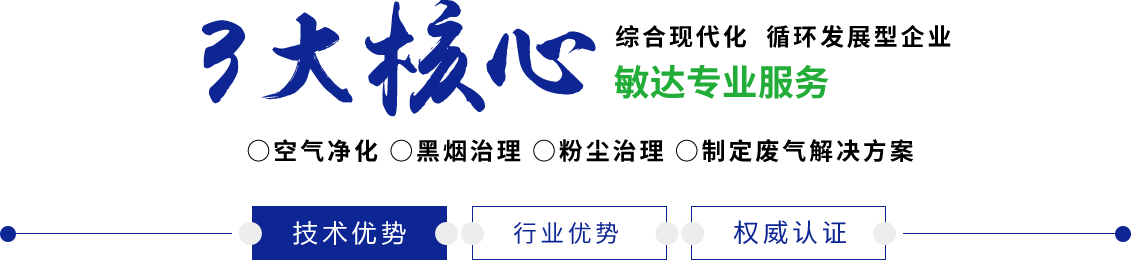 受不了了快点我想要国产敏达环保科技（嘉兴）有限公司